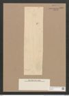 Pleurosigma gruendlerii Grun. (de-Toni-Nr.: Genus 13, Species 1052) Zeichnungen Sammlung Grunow Nr. 1890 (NHMW-BOT-W0369005)
